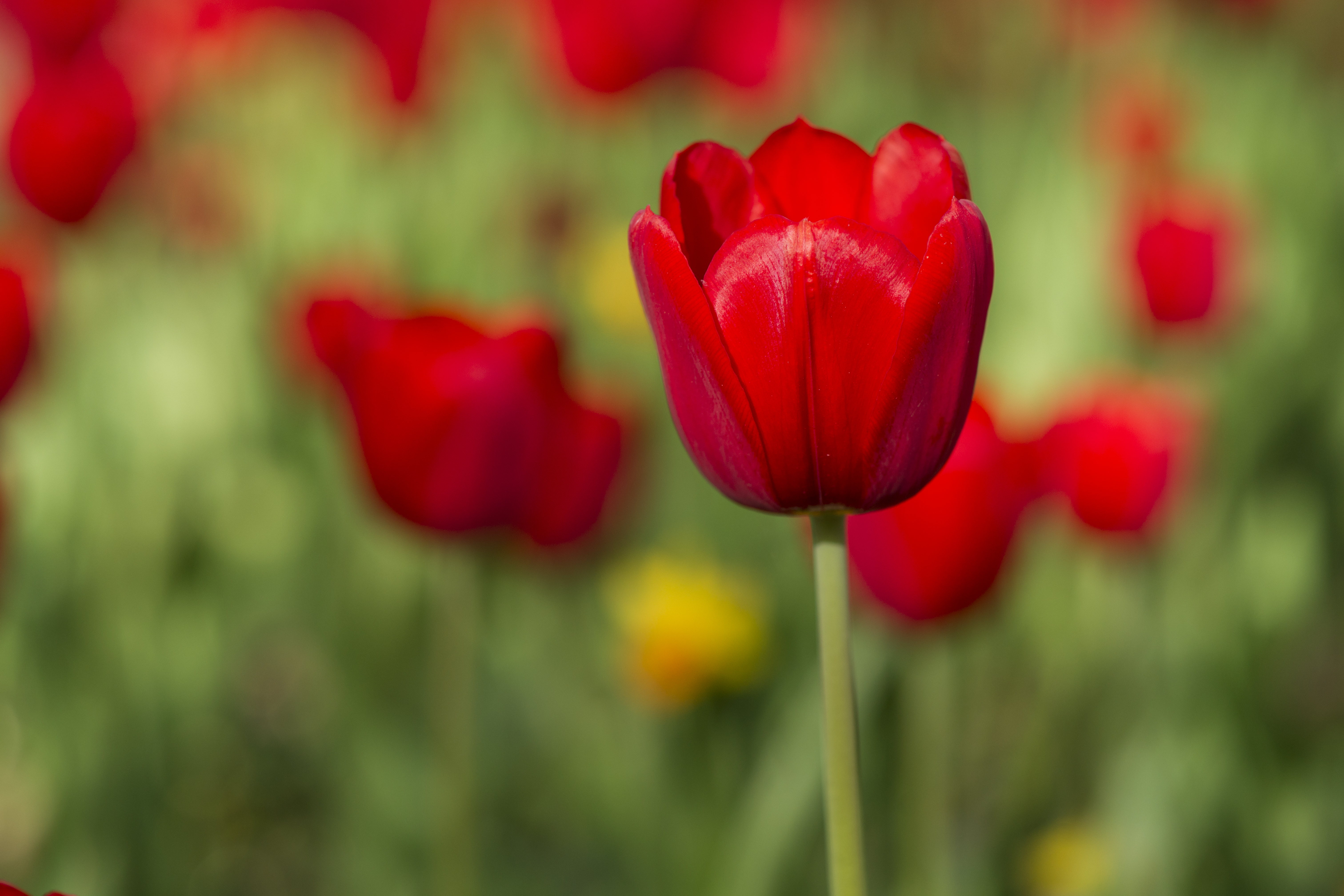 Image par freestockcenter sur Freepik
